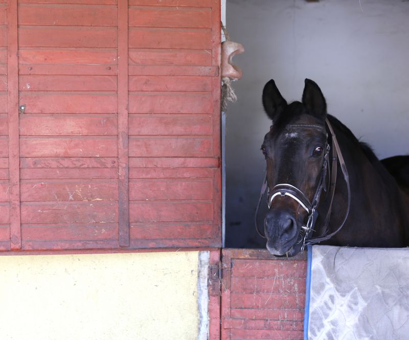 Barn Doors Repair detail